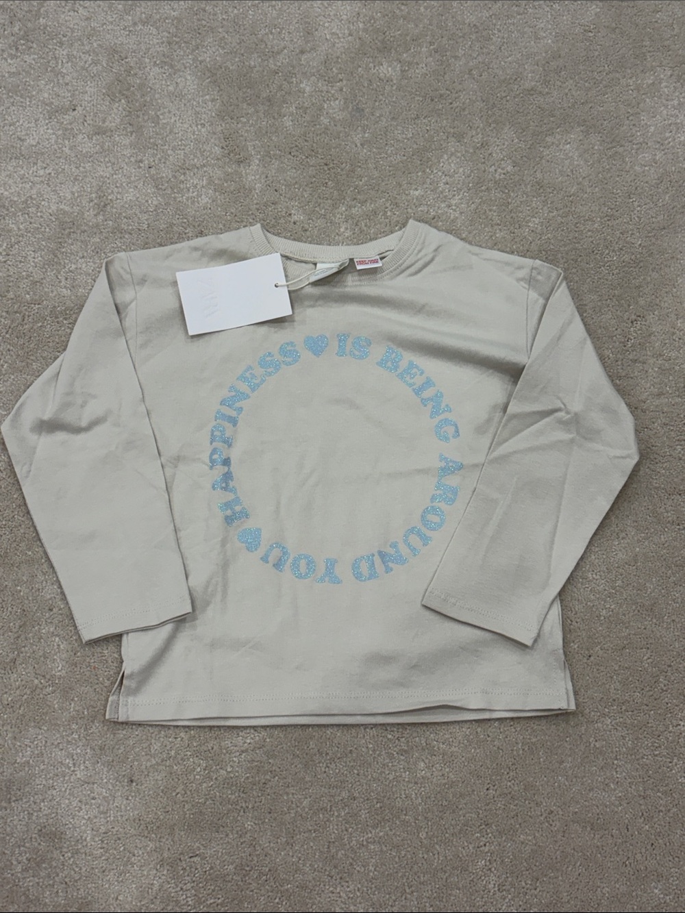 NWT Zara Long Sleeve